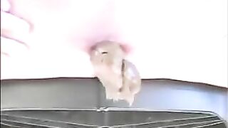 Jordin Feona pushing shit