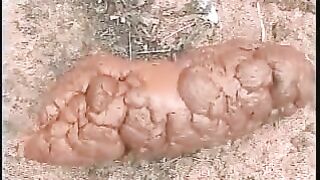 Juicy fat turd on the ground