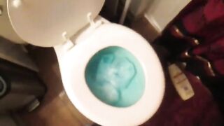 Pretty redhead shits into her clogged toilet