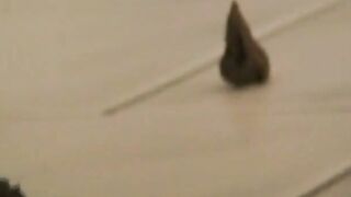 Sexy blonde shit and tampon show