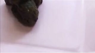 Gorgeous teen girl showing her pussy and shit