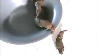 Tiffanie making mess