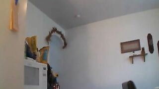 Amazing fresh shit for the slave