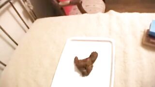 Sweet ass Japanese girlfriend showing her shit