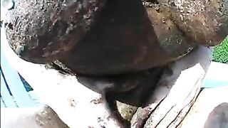 Nasty German milf with huge melons smearing shit