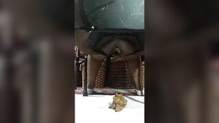 Mix of horny scat girls