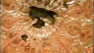 Scat beautiful gal has trouble shitting