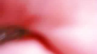 Guy sits on toilet and takes a huge shit outside