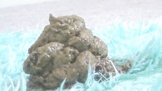 A big pile of shit with piss being mixed into it