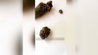 Goddess straining out a huge turd