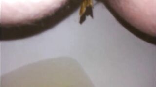 Hairy sexy milf shitting in the toilet
