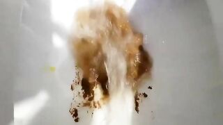 Girl takes a huge shit on the toilet and wipes her ass