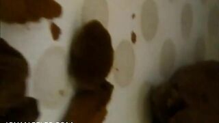 Cute naked brunette babe dropping sexy shit