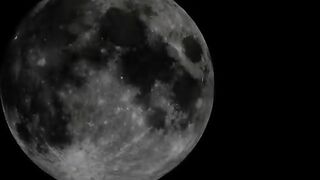 Hot tattooed brunette girlfriend gives scat blowjob