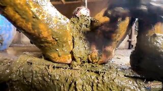 Babe swims in shit and piss in barn