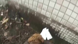 Asian girl shits near a wall in the park