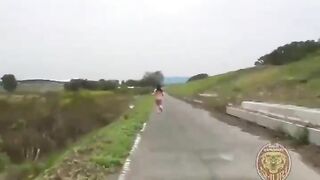 Large chunks of shit in water and mud