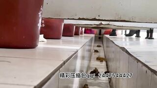 Shit and piss all over a long trough