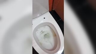 Chick licks shit from the toilet bowl