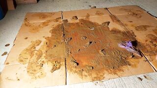 Girl steps in shit and smears it on cardboard