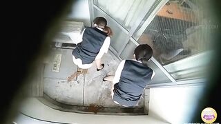 Two sexy girls lick shit off the floor