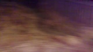 Paid to sniff a fresh turd