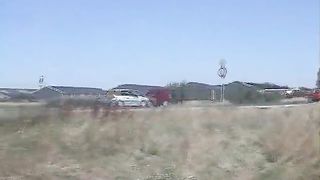 Hard turd on the grass