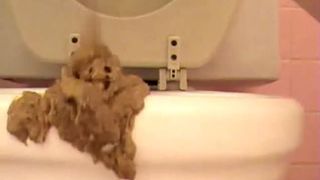 Naughty girl pooping creamy shit