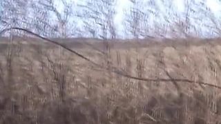 Tattooed girl pooping in nature