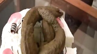 Big pile of shit on a cake