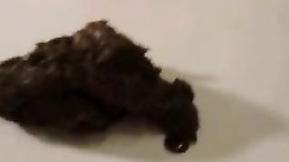 Sexy female shitting