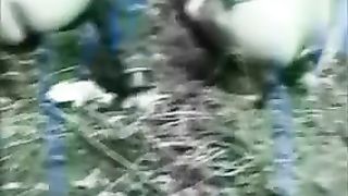 Mature woman shitting in nature