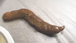 Long turd near a plate