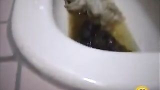 Sexy school girls pooping