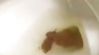 Young girl shitting over the toilet