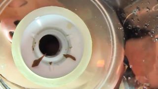 Teacher beating her student