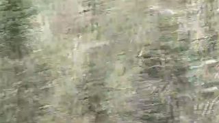 Pulled her car on the right to poop