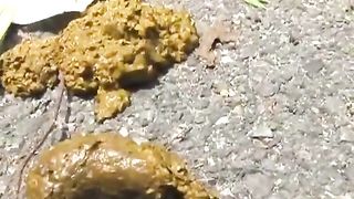 Asian girls pooping in public