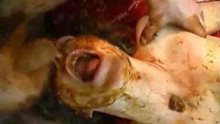 Cum and piss on a scat slut