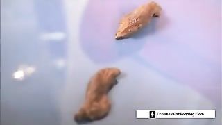 Tiny piece of shit on a blue plate