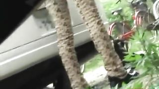 Asian girl pooping in public