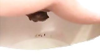 Mix of hot babes shitting