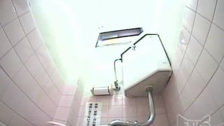 Hot babe shitting in public bathroom