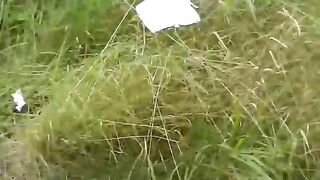 Babe takes a shit on the side of the road
