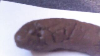 Close Up Fat turd