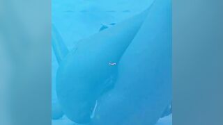 Hot big ass ebony slut shit smearing by the pool side