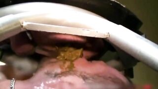 French Nasty Shit Pigs