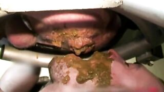 French Nasty Shit Pigs