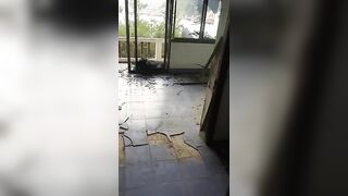 German scat wife poops hard