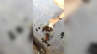 German scat wife poops hard